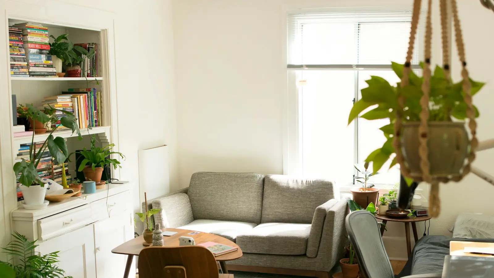 A bright living room with a sofa, armchair, plants and shelves of books.